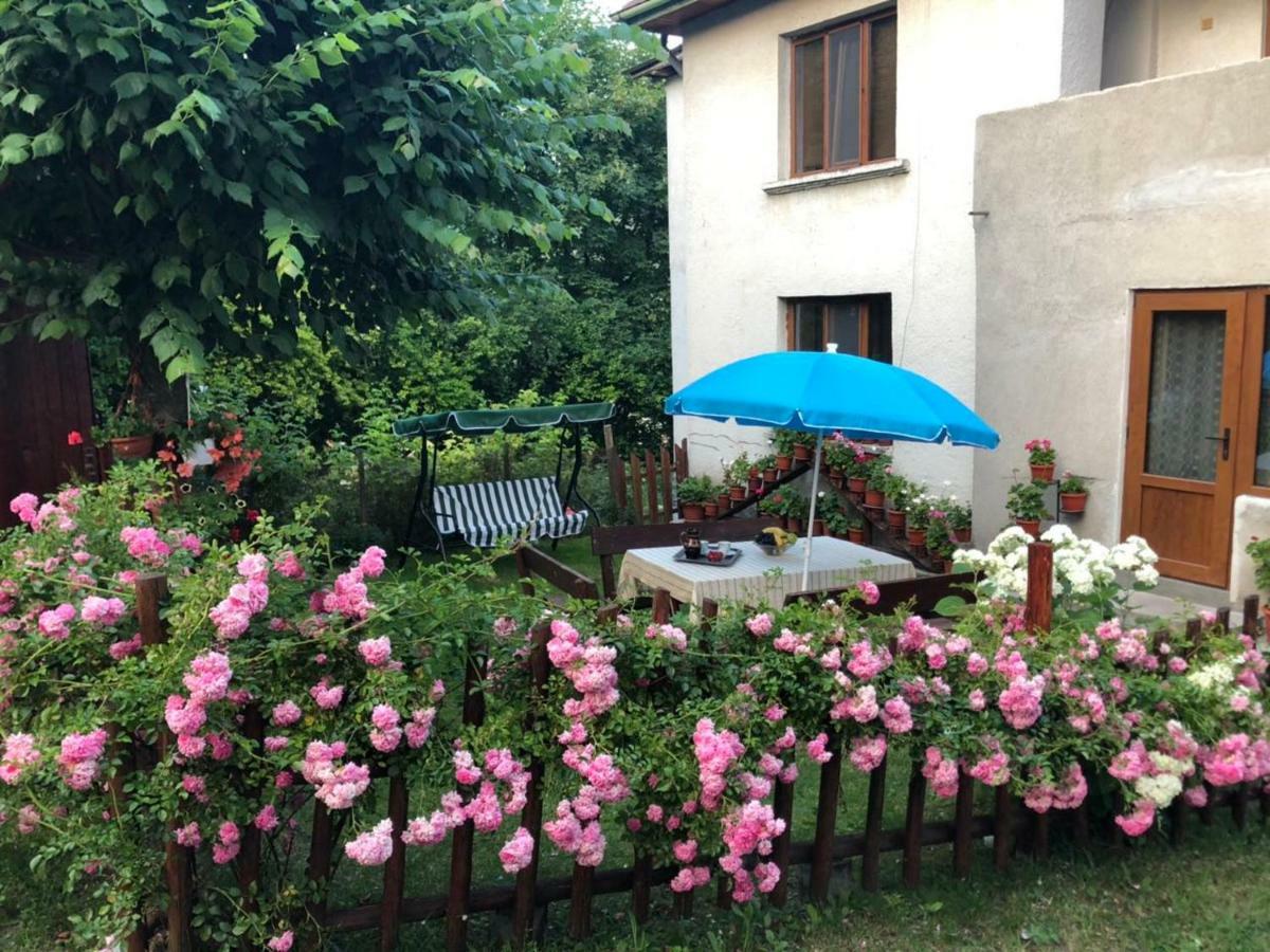 Guest House Emmy Trigrad Buitenkant foto